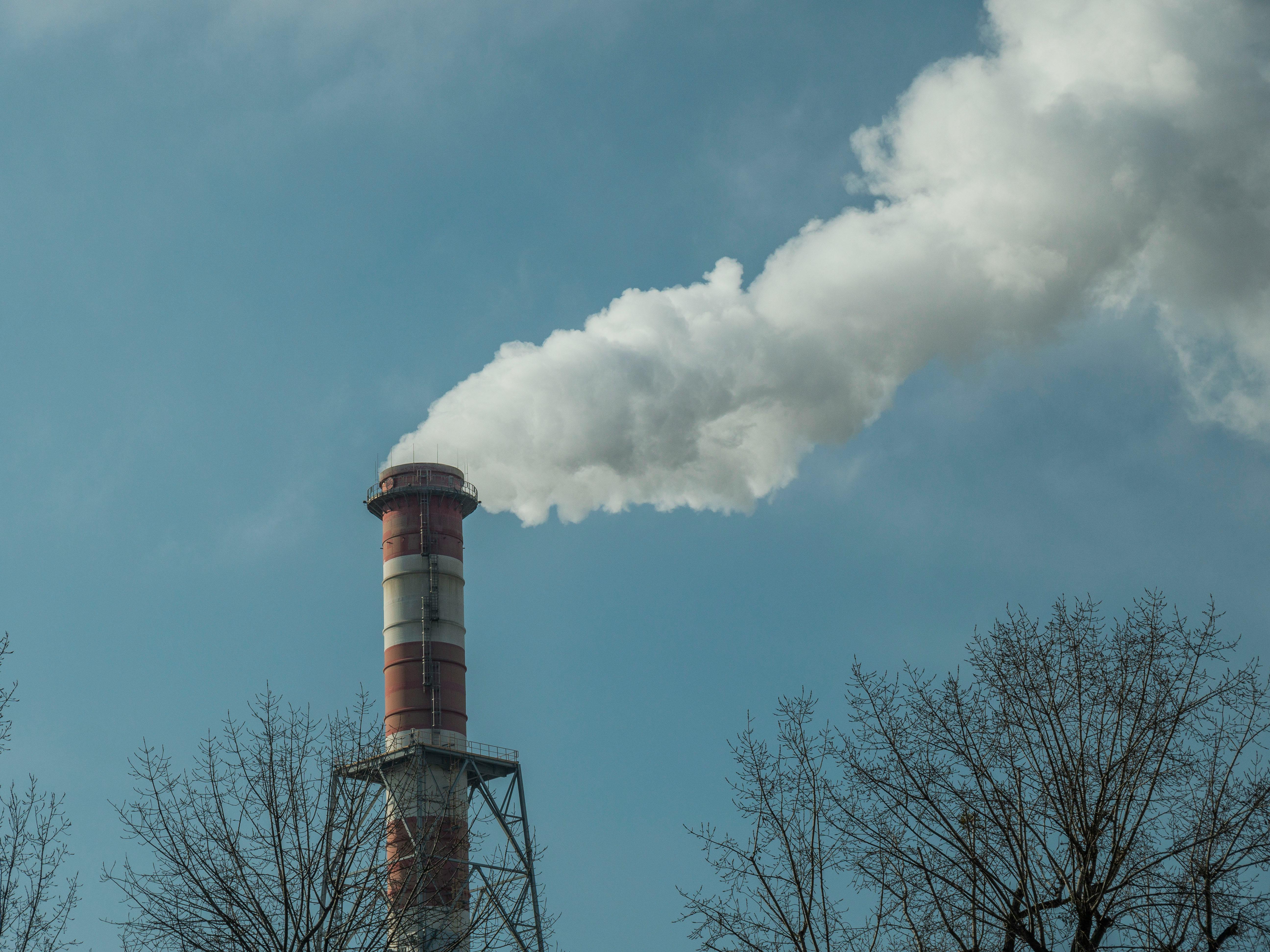 Schoonmaakdiensten voor Bedrijven