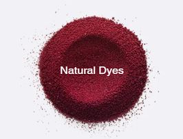 Schoonmaakdiensten voor Bedrijven